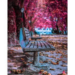 235163392_1482350605459508_5687756892216500549_n