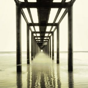 274303633_1153618332048699_7483496668000222015_n